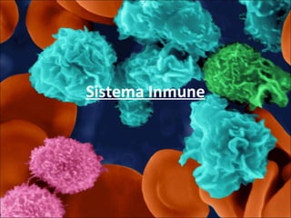 Sistema Inmune 