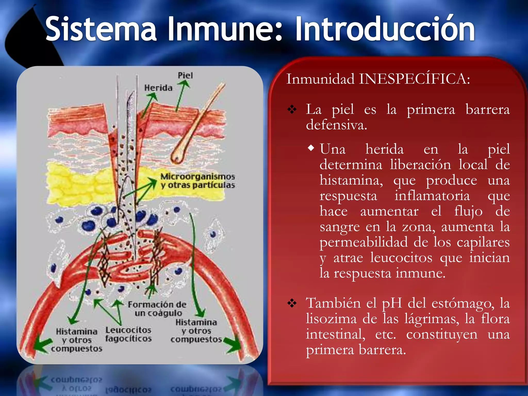 Sistema inmune | PPTX | Infectious Diseases | Diseases and Conditions