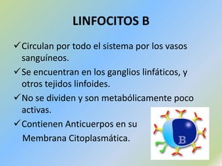 RESPUESTAINESPECÍFICAFormada por:Primera Línea de Defensa