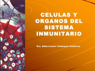 CELULAS Y ORGANOS DEL SISTEMA INMUNITARIO Dra. Edda Leonor Velásquez Gutiérrez 