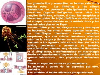 Los granulocitos y monocitos se forman solo en la médula ósea.  Los linfocitos y las céluas plasmáticas se producen principalmente en los diferentes órganos linfógenos, entre ellos los ganglios linfáticos, el bazo, el timo, las amígdalas y diferentes restos de teljido linfático en otras partes del cuerpo, especialmente en la médula ósea y las denominadas placas de Peyer. Los neutrófilos y los macrófagos atacan y destruyen las bacterias, los virus y otros agentes invasivos, los macrófagos comienzan como monocitos sanguíneos, que son celulas inmaduras mientras estan en la sangre y tienen escasa capacidad para combatir a los agentes infecciosos. Una vez en los tejidos, comienzan a aumentar de tamaño, apareciendo un número muy elevado de lisosomas en el citoplasma, transformandose en macrófagos siendo extremadamente capaces de combatir a los agentes infecciosos.  Sus propiedades defensivas son: Entrar en espacios tisulares por diapédesis. Se mueven a través de los espacios por mov. ameboide. Son atraidos al tejido inflamado por quimiotaxis. 