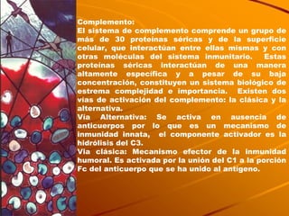 Complemento: El sistema de complemento comprende un grupo de más de 30 proteínas séricas y de la superficie celular, que interactúan entre ellas mismas y con otras moléculas del sistema inmunitario.  Estas proteínas séricas interactúan de una manera altamente específica y a pesar de su baja concentración, constituyen un sistema biológico de estrema complejidad e importancia.  Existen dos vías de activación del complemento: la clásica y la alternativa. Vía Alternativa: Se activa en ausencia de anticuerpos por lo que es un mecanismo de inmunidad innata,  el componente activador es la hidrólisis del C3. Via clásica: Mecanismo efector de la inmunidad humoral. Es activada por la unión del C1 a la porción Fc del anticuerpo que se ha unido al antígeno. 