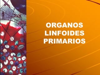 ORGANOS LINFOIDES PRIMARIOS 