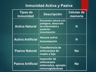 Inmunidad Activa y Pasiva
Tipos de
Inmunidad
Descripción
Células de
memoria
Activa Natural
Encuentro natural con
patógeno, desarrollo
de enfermedad y
posterior
inmunización
Si
Activa Artificial
Vacuna activa
Inmunización
Si
Pasiva Natural
Transferencia de
anticuerpos de
madre a hijo
No
Pasiva Artificial
Inyección de
anticuerpos
elaborados, ejemplo
inmunoglobulinas
No
 