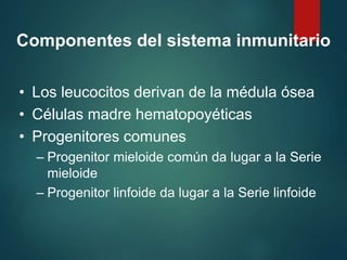 Componentes del sistema inmunitario
• Los leucocitos derivan de la médula ósea
• Células madre hematopoyéticas
• Progenitores comunes
– Progenitor mieloide común da lugar a la Serie
mieloide
– Progenitor linfoide da lugar a la Serie linfoide
 