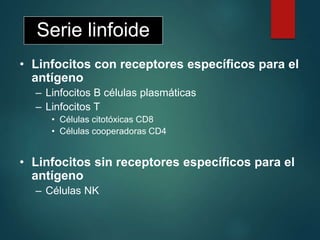 Serie linfoide
• Linfocitos con receptores específicos para el
antígeno
– Linfocitos B células plasmáticas
– Linfocitos T
• Células citotóxicas CD8
• Células cooperadoras CD4
• Linfocitos sin receptores específicos para el
antígeno
– Células NK
 