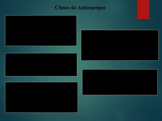 Clases de Anticuerpos
IgM
Es el primer anticuerpo secretado en
la reacción inmune.
Aglutina Antígenos, activa
complemento y promueve fagocitosis.
IgG
Es el anticuerpo mas abundante
en la sangre. Activa complemento.
Protege al feto.
IgA
Es sesecretada desde la circulación a
la saliva, lágrimas y moco.
Une microbios en tracto digestivo y
respiratorio.
IgE
anticuerpos de las alergias, de protección
contra parásitos, la respuesta alérgica se
produce cuando se une a sustancias
inocuas.
IgD
Anticuerpo que se halla unido a la
superficie de linfocitos B.
Función desconocida.
 