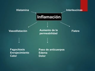 Inflamación
Aumento de la
permeabilidad
Vasodilatación Fiebre
Fagocitosis
Enrojecimiento
Calor
Paso de anticuerpos
Edema
Dolor
Histamina Interleucinas
 