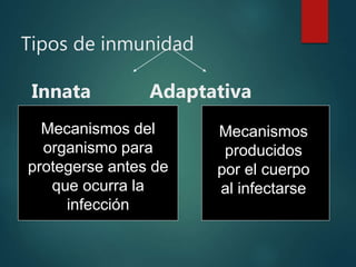 Tipos de inmunidad
Innata Adaptativa
Mecanismos del
organismo para
protegerse antes de
que ocurra la
infección
Mecanismos
producidos
por el cuerpo
al infectarse
 
