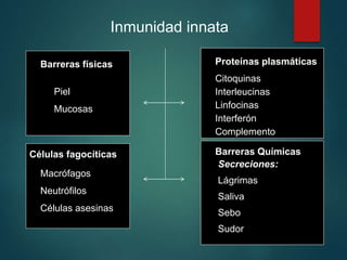 Inmunidad innata
Barreras físicas Proteínas plasmáticas
Células fagocíticas Barreras Químicas
Piel
Mucosas
Macrófagos
Neutrófilos
Células asesinas
Citoquinas
Interleucinas
Linfocinas
Interferón
Complemento
Secreciones:
Lágrimas
Saliva
Sebo
Sudor
 