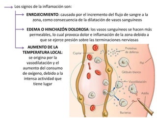 Los signos de la inflamación son:
ENROJECIMIENTO: causado por el incremento del flujo de sangre a la
zona, como consecuencia de la dilatación de vasos sanguíneos
EDEMA O HINCHAZÓN DOLOROSA: los vasos sanguíneos se hacen más
permeables, lo cual provoca dolor e inflamación de la zona debido a
que se ejerce presión sobre las terminaciones nerviosas
AUMENTO DE LA
TEMPERATURA LOCAL:
se origina por la
vasodilatación y el
aumento del consumo
de oxígeno, debido a la
intensa actividad que
tiene lugar
 