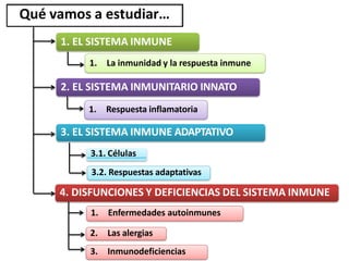 Qué vamos a estudiar…
1. EL SISTEMA INMUNE
1. La inmunidad y la respuesta inmune
2. EL SISTEMA INMUNITARIO INNATO
1. Respuesta inflamatoria
3. EL SISTEMA INMUNE ADAPTATIVO
3.1. Células
3.2. Respuestas adaptativas
4. DISFUNCIONES Y DEFICIENCIAS DEL SISTEMA INMUNE
1. Enfermedades autoinmunes
2. Las alergias
3. Inmunodeficiencias
 