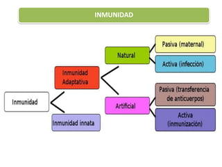 INMUNIDAD
 