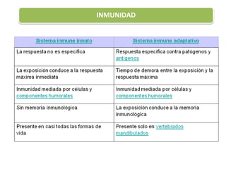 INMUNIDAD
 