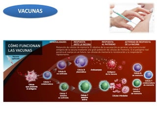 VACUNAS
 