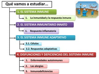 Qué vamos a estudiar…
1. EL SISTEMA INMUNE
1. La inmunidad y la respuesta inmune
2. EL SISTEMA INMUNITARIO INNATO
1. Respuesta inflamatoria
3. EL SISTEMA INMUNE ADAPTATIVO
3.1. Células
3.2. Respuestas adaptativas
4. DISFUNCIONES Y DEFICIENCIAS DEL SISTEMA INMUNE
1. Enfermedades autoinmunes
2. Las alergias
3. Inmunodeficiencias
 