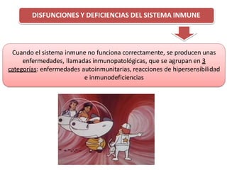 DISFUNCIONES Y DEFICIENCIAS DEL SISTEMA INMUNE
Cuando el sistema inmune no funciona correctamente, se producen unas
enfermedades, llamadas inmunopatológicas, que se agrupan en 3
categorías: enfermedades autoinmunitarias, reacciones de hipersensibilidad
e inmunodeficiencias
 