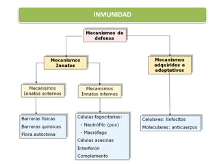 INMUNIDAD
 