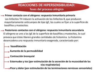 REACCIONES DE HIPERSENSIBILIDAD:
fases del proceso alérgico
Primer contacto con el alérgeno: respuesta inmunitaria primaria
Los linfocitos TH inducen la activación de los linfocitos B, que producen
mayoritariamente anticuerpos de tipo IgE, los cuales se fijan a la superficie de
basófilos y mastocitos.
Posteriores contactos con el alérgeno: respuesta inmunitaria secundaria
El alérgeno se une a las IgE de la superficie de basófilos y mastocitos, lo cual
provoca que éstos liberen grandes cantidades de histamina. La histamina
desencadena una respuesta inmunitaria exagerada, caracterizada por:
Vasodilatación
Aumento de la permeabilidad
Contracción bronquial
Estornudos y tos (por estimulación de la secreción de la mucosidad de las
vías respiratorias)
Picor y dolor (por estimulación de las terminaciones nerviosas sensoriales)
 