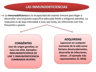 LAS INMUNODEFICIENCIAS
La inmunodeficienca es la incapacidad del sistema inmune para llegar a
desarrollar una respuesta específica adecuada frente a antígenos extraños. La
respuesta es de baja intensidad o nula, por tanto, las infecciones son más
frecuentes y graves.
CONGÉNITAS
(son de origen genético, se
nace con ellas. Ejemplos:
INMUNODEFICIENCIA DE
LINF T, INMUNODEFICIENCIA
COMBINADA SEVERA)
ADQUIRIDAS
(aparecen en cualquier
momento de la vida como
factores desencadenantes,
desarrollo de infecciones,
cáncer… El ejemplo más
representativo: EL SIDA)
 