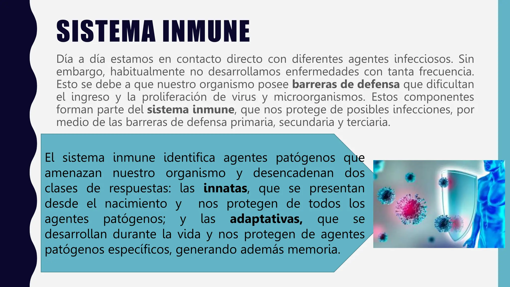 SISTEMA INMUNE...como se defiende nuestro cuerpo | PPTX | Infectious ...