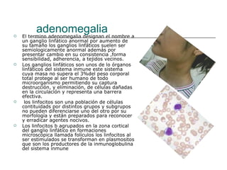 adenomegalia El termino adenomegalia designan el nombre a un ganglio linfático anormal por aumento de su tamaño los ganglios linfáticos suelen ser semiologicamente anormal además por presentar cambio en su consistencia ,forma sensibilidad, adherencia, a tejidos vecinos. Los ganglios linfáticos son unos de lo órganos linfáticos del sistema inmune este sistema cuya masa no supera el 3%del peso corporal total protege al ser humano de todo microorganismo permitiendo su captura destrucción, y eliminación, de células dañadas en la circulación y representa una barrera efectiva. los linfocitos son una población de células contituidads por distintos grupos y subgrupos no pueden diferenciarse uno del otro por su morfología y están preparados para reconocer y erradicar agentes nocivos. Los linfocitos b agrupados en la zona cortical del ganglio linfático en formaciones microscópica llamada folículos los linfocitos al ser estimulados se transforman en plasmositos que son los productores de la inmunoglobulina del sistema inmune  