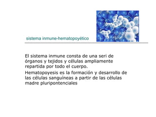 sistema inmune-hematopoyético El sistema inmune consta de una seri de órganos y tejidos y células ampliamente repartida por todo el cuerpo. Hematopoyesis es la formación y desarrollo de las células sanguíneas a partir de las células madre pluripontenciales 