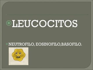 LEUCOCITOS  NEUTROFILO, EOSINOFILO,BASOFILO. 