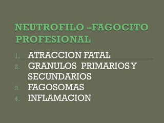 ATRACCION FATAL  GRANULOS  PRIMARIOS Y SECUNDARIOS FAGOSOMAS INFLAMACION 