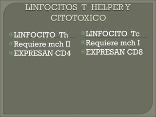 LINFOCITO  Th Requiere mch II EXPRESAN CD4 LINFOCITO  Tc Requiere mch I EXPRESAN CD8 