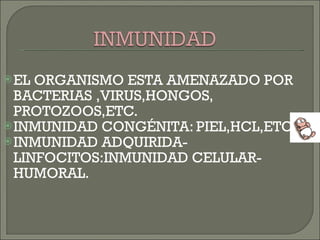 EL ORGANISMO ESTA AMENAZADO POR BACTERIAS ,VIRUS,HONGOS, PROTOZOOS,ETC. INMUNIDAD CONGÉNITA: PIEL,HCL,ETC INMUNIDAD ADQUIRIDA-LINFOCITOS:INMUNIDAD CELULAR-HUMORAL. 