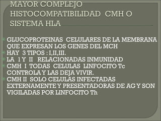 GLUCOPROTEINAS  CELULARES DE LA MEMBRANA QUE EXPRESAN LOS GENES DEL MCH HAY  3 TIPOS : I,II,III. LA  1 Y  II  RELACIONADAS INMUNIDAD CMH  I  TODAS  CELULAS  LINFOCITO Tc  CONTROLA Y LAS DEJA VIVIR. CMH II  SOLO CELULAS INFECTADAS EXTERNAMENTE Y PRESENTADORAS DE AG Y SON VIGILADAS POR LINFOCITO Th 