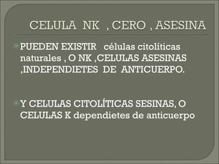 PUEDEN EXISTIR  células citolíticas naturales , O NK ,CELULAS ASESINAS ,INDEPENDIETES  DE  ANTICUERPO. Y CELULAS CITOLÍTICAS SESINAS, O CELULAS K dependietes de anticuerpo  