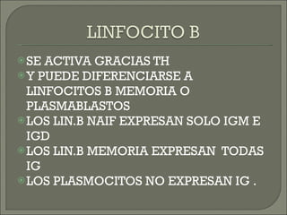 SE ACTIVA GRACIAS TH Y PUEDE DIFERENCIARSE A LINFOCITOS B MEMORIA O PLASMABLASTOS LOS LIN.B NAIF EXPRESAN SOLO IGM E IGD LOS LIN.B MEMORIA EXPRESAN  TODAS IG LOS PLASMOCITOS NO EXPRESAN IG . 