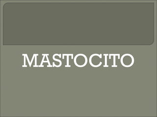 MASTOCITO 