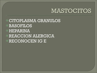 CITOPLASMA GRANULOS BASOFILOS HEPARINA REACCION ALERGICA RECONOCEN IG E 