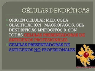 ORIGEN CELULAR MED. OSEA CLASIFICACIÓN : MACRÓFAGOS, CEL DENDRITICAS,LINFOCITOS B  SON TODAS  CELULAS PRESENTADORAS DE ANTIGENOS PROFESIONALES. CELULAS PRESENTADORAS DE ANTIGENOS  NO  PROFESIONALES. 