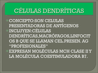 CONCEPTO:SON CELULAS PRESENTADORAS DE ANTÍGENOS  INCLUYEN:CÉLULAS DENDRÍTICAS,MACRÓFAGOS,LINFOCITOS B QUE SE LLAMAN CEL.PRESEN. AG “PROFESIONALES” EXPRESAN MOLÉCULAS MCH CLASE II Y LA MOLÉCULA COESTIMULADORA B7. 