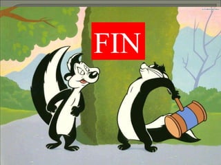 FIN FIN 