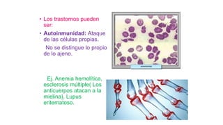• Los trastornos pueden
ser:
• Autoinmunidad: Ataque
de las células propias.
No se distingue lo propio
de lo ajeno.
Ej. Anemia hemolítica,
esclerosis múltiple( Los
anticuerpos atacan a la
mielina), Lupus
eritematoso.
 