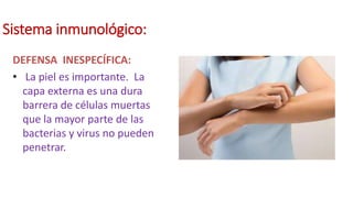 Sistema inmunológico:
DEFENSA INESPECÍFICA:
• La piel es importante. La
capa externa es una dura
barrera de células muertas
que la mayor parte de las
bacterias y virus no pueden
penetrar.
 