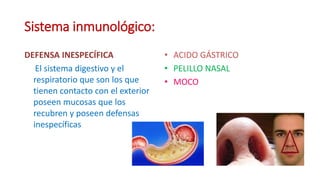 Sistema inmunológico:
DEFENSA INESPECÍFICA
El sistema digestivo y el
respiratorio que son los que
tienen contacto con el exterior
poseen mucosas que los
recubren y poseen defensas
inespecíficas
• ACIDO GÁSTRICO
• PELILLO NASAL
• MOCO
 