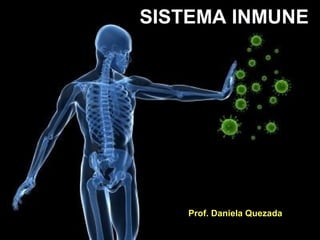 SISTEMA INMUNE
Prof. Daniela Quezada
 