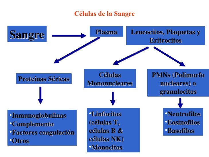 Sistema Inmunitario