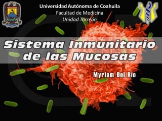 SistemaInmunitario de lasMucosas Myriam Del Río Universidad Autónoma de Coahuila Facultad de Medicina Unidad Torreón 
