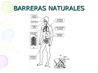 BARRERAS NATURALES 