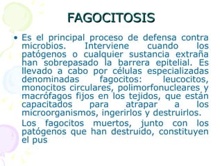 FAGOCITOSIS Es el principal proceso de defensa contra microbios. Interviene cuando los patógenos o cualquier sustancia extraña han sobrepasado la barrera epitelial. Es llevado a cabo por células especializadas denominadas fagocitos: leucocitos, monocitos circulares, polimorfonucleares y macrófagos fijos en los tejidos, que están capacitados para atrapar a los microorganismos, ingerirlos y destruirlos.  Los fagocitos muertos, junto con los patógenos que han destruido, constituyen el pus  