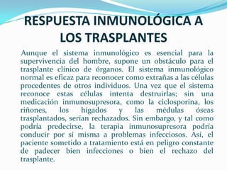 RESPUESTA INMUNOLÓGICA A LOS TRASPLANTESAunque el sistema inmunológico es esencial para la supervivencia del hombre, supone un obstáculo para el trasplante clínico de órganos. El sistema inmunológico normal es eficaz para reconocer como extrañas a las células procedentes de otros individuos. Una vez que el sistema reconoce estas células intenta destruirlas; sin una medicación inmunosupresora, como la ciclosporina, los riñones, los hígados y las médulas óseas trasplantados, serían rechazados. Sin embargo, y tal como podría predecirse, la terapia inmunosupresora podría conducir por sí misma a problemas infecciosos. Así, el paciente sometido a tratamiento está en peligro constante de padecer bien infecciones o bien el rechazo del trasplante.