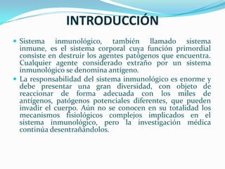 INTRODUCCIÓNSistema inmunológico, también llamado sistema inmune, es el sistema corporal cuya función primordial consiste en destruir los agentes patógenos que encuentra. Cualquier agente considerado extraño por un sistema inmunológico se denomina antígeno.La responsabilidad del sistema inmunológico es enorme y debe presentar una gran diversidad, con objeto de reaccionar de forma adecuada con los miles de antígenos, patógenos potenciales diferentes, que pueden invadir el cuerpo. Aún no se conocen en su totalidad los mecanismos fisiológicos complejos implicados en el sistema inmunológico, pero la investigación médica continúa desentrañándolos.