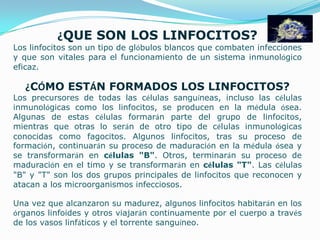 ¿QUESON LOS LINFOCITOS?Los linfocitos son un tipo de glóbulos blancos que combaten infecciones y que son vitales para el funcionamiento de un sistema inmunológico eficaz.¿CÓMO ESTÁN FORMADOS LOS LINFOCITOS?Los precursores de todas las células sanguíneas, incluso las células inmunológicas como los linfocitos, se producen en la médula ósea. Algunas de estas células formarán parte del grupo de linfocitos, mientras que otras lo serán de otro tipo de células inmunológicas conocidas como fagocitos. Algunos linfocitos, tras su proceso de formación, continuarán su proceso de maduración en la médula ósea y se transformarán en células "B". Otros, terminarán su proceso de maduración en el timo y se transformarán en células "T". Las células "B" y "T" son los dos grupos principales de linfocitos que reconocen y atacan a los microorganismos infecciosos.Una vez que alcanzaron su madurez, algunos linfocitos habitarán en los órganos linfoides y otros viajarán continuamente por el cuerpo a través de los vasos linfáticos y el torrente sanguíneo.